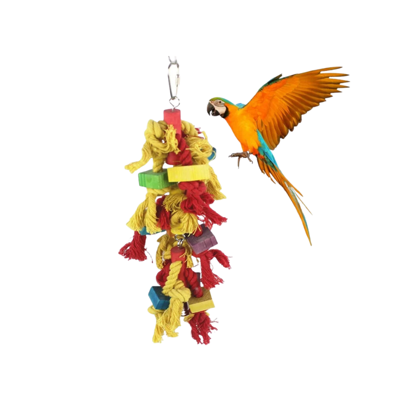 [SA3543] Saas Birds Natural Wooden Toy 26*15cm