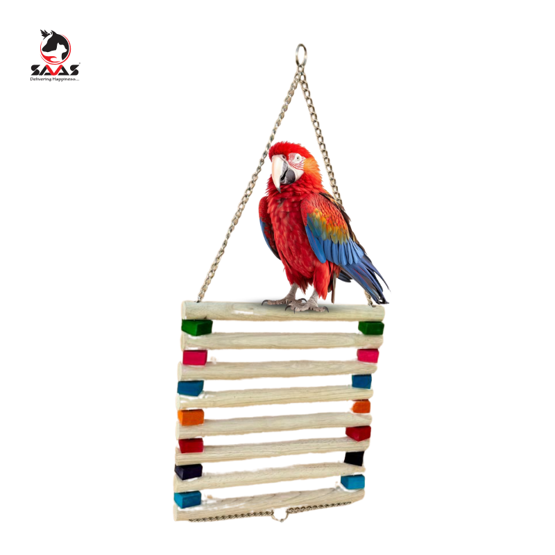 [SJE013] Bird Cradle & Food Colored  Toy L  28.5*75cm