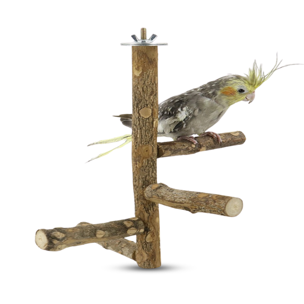 Parrots Standing Stick 25*12.8