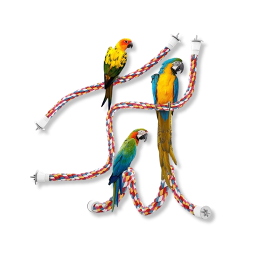 [SA2995] Saas Bird Toys Cotton (2.5*105)